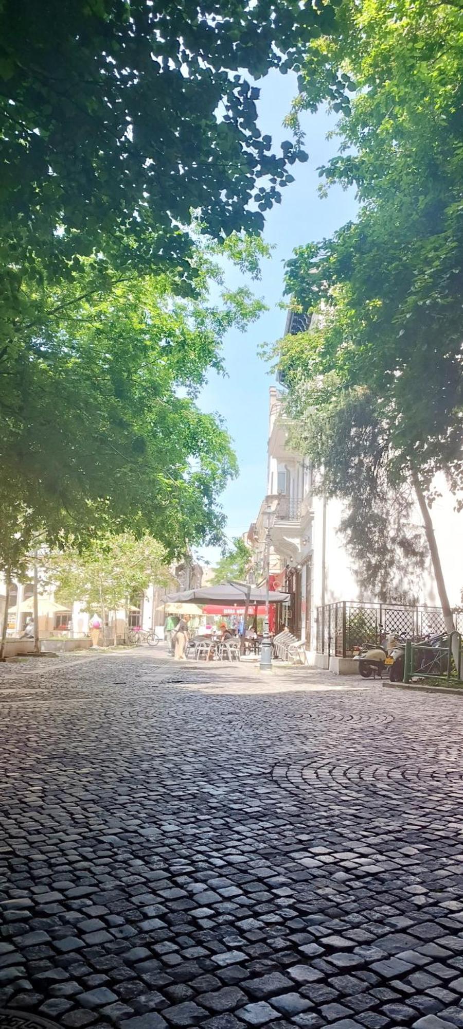Enchanting Retreat - Historic Old Town - Pet-Friendly Haven - Steps From Unirii Bucarest Exterior foto